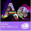 After Effects + Pro Edition